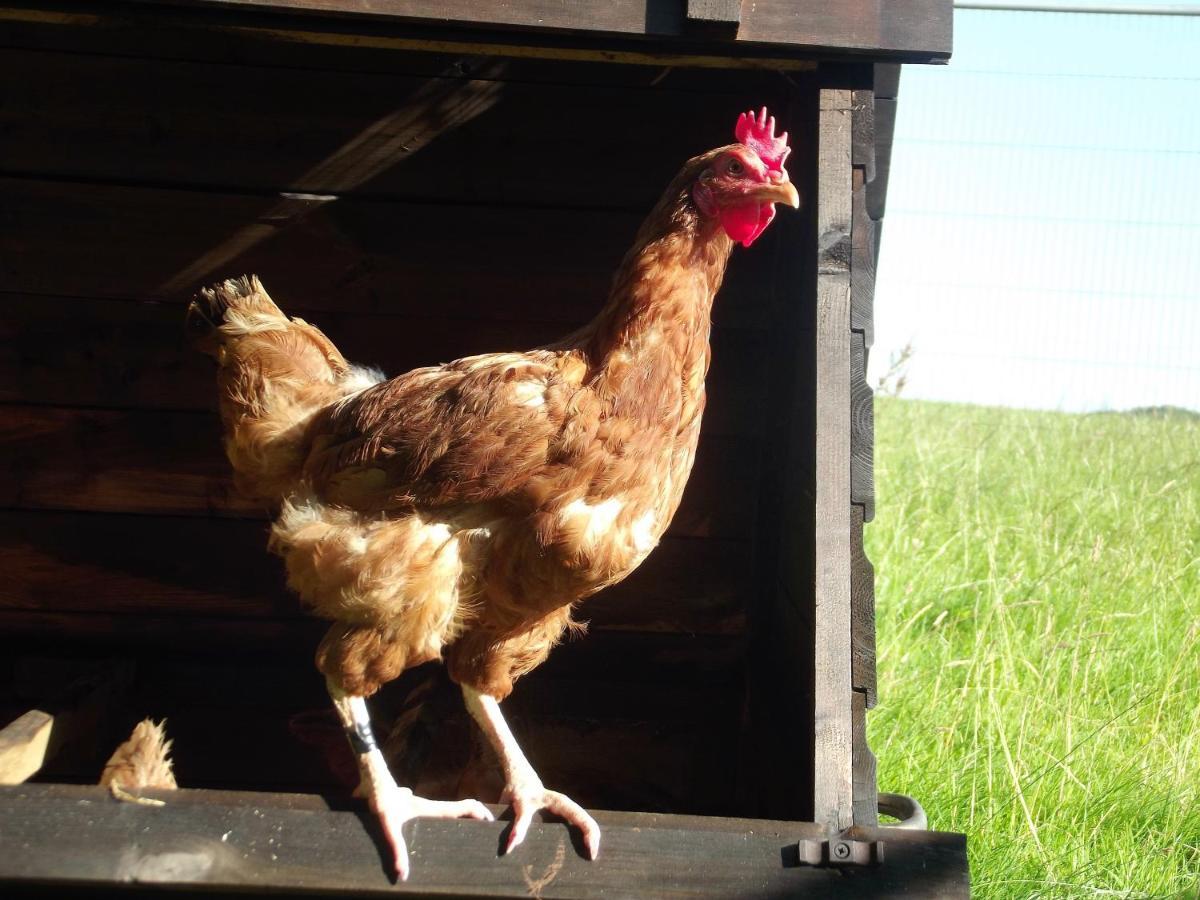Deepaller Farm Tiverton  Ngoại thất bức ảnh